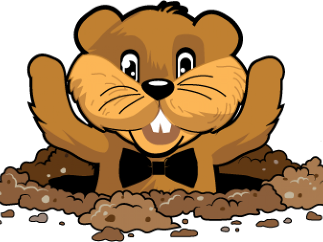 Gopher Logo